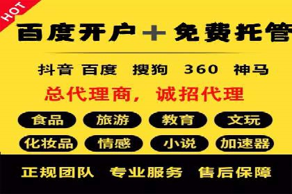 谷歌SEM广告投放的ROI优化：一家科技公司的成功经验